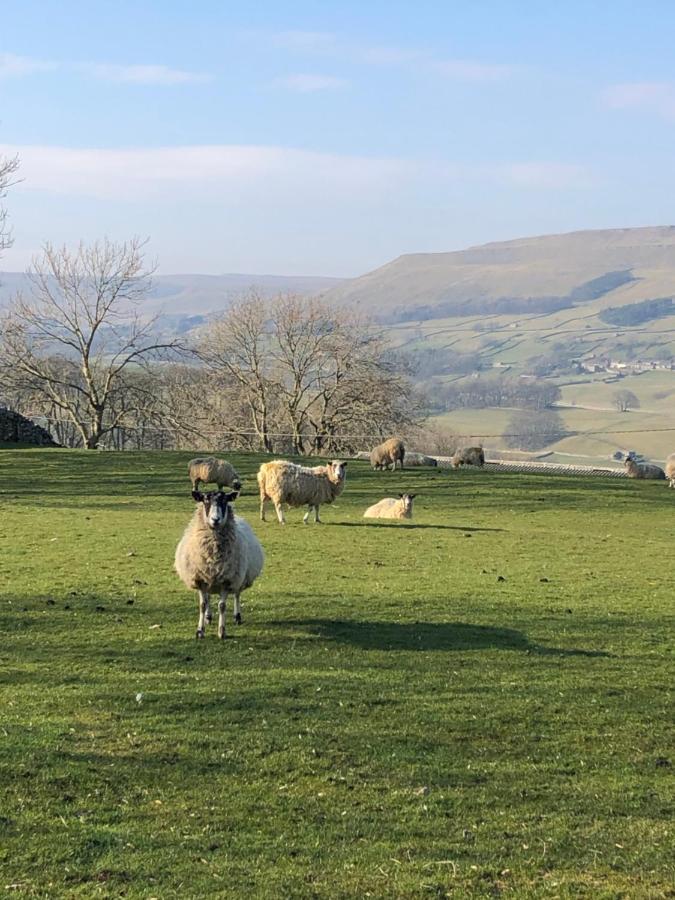 Quarry Cottage Near Hawes, Yorkshire Dales, Pet Free Εξωτερικό φωτογραφία